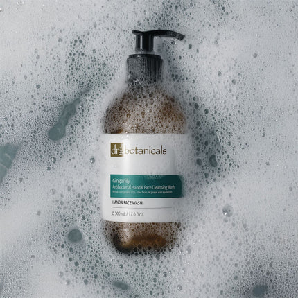 skinChemists US - Gingerlily Antibacterial Hand & Face Cleansing Wash 500ml