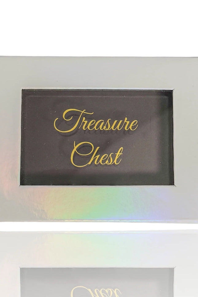Shine By SD - Treasure Chest Empty Magnetic Palette