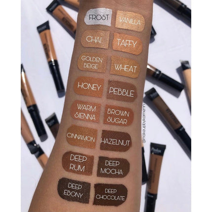 Prolux Cosmetics - Prolux Instant Coverage Concealer