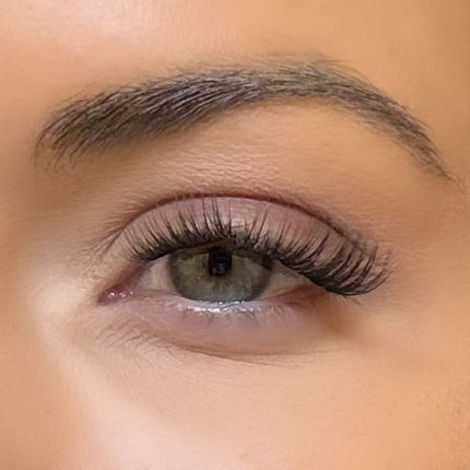 C & D Beauty - Hazel Press & Go Refill