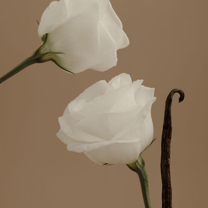 Orchid + Ash - AURA Perfume Travel Spray
