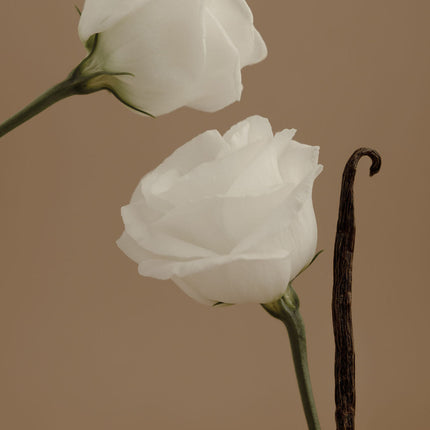 Orchid + Ash - AURA Perfume