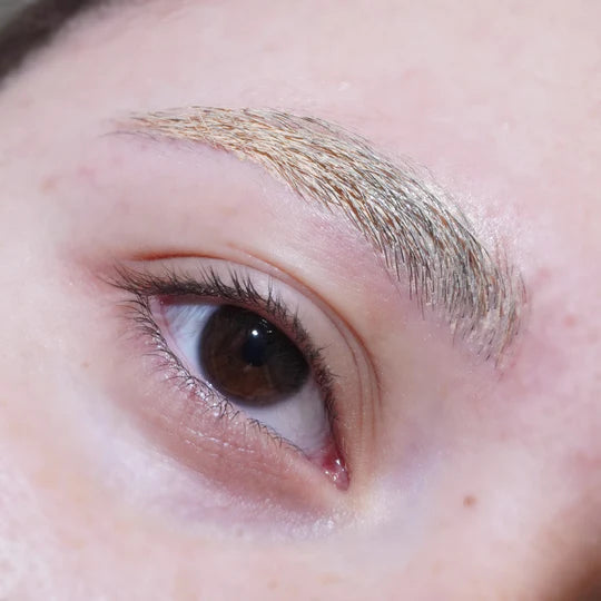 Glisten Cosmetics Sand (Blonde) Spectra Brow - Brow Cream