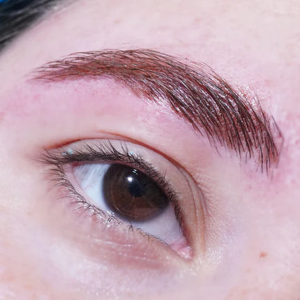 Glisten Cosmetics Chestnut (Brown) Spectra Brow - Brow Cream
