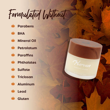 Profusion Cosmetics - Pumpkin Spice | Harvest Overnight Lip Mask