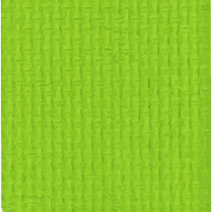 Gavissi Beauty - "AVOCADO" SINGLE LINER PAN (MATTE)
