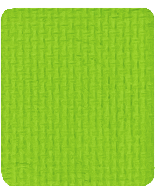 Gavissi Beauty - "AVOCADO" SINGLE LINER PAN (MATTE)