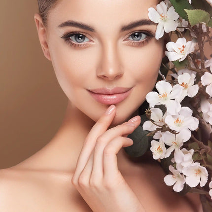 Prolux Cosmetics - PxLook Eyebrow Shadow