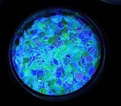 Inked Doll Cosmetics - "BEYOND WONDERLAND" *UV*/BlackLight* Festival FunFetti