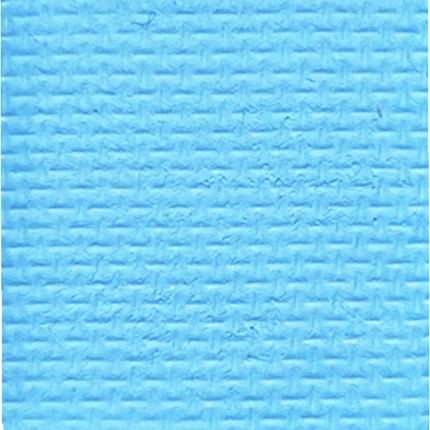 Gavissi Beauty - "BLUE RASPBERRY" SINGLE LINER  PAN (UV)