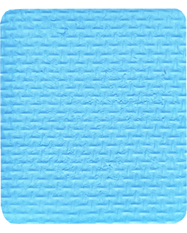 Gavissi Beauty - "BLUE RASPBERRY" SINGLE LINER  PAN (UV)