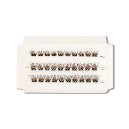 C & D Beauty - Hazel Press & Go Refill