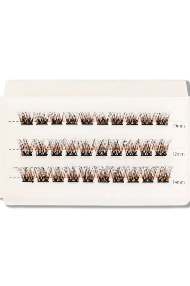 C & D Beauty - Hazel Press & Go Refill