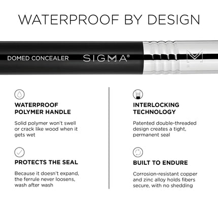 Sigma Beauty - F26 Domed Concealer Brush