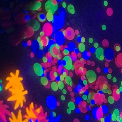 Inked Doll Cosmetics - DIPPIN' DOTS *UV* Festival GlamDoll Glitter Confetti