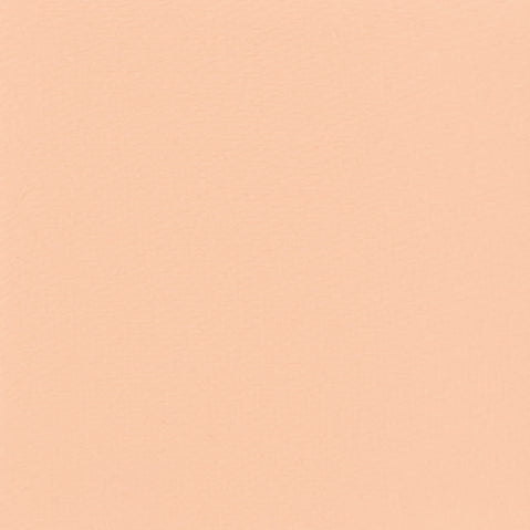 Gavissi Beauty - "DIVINE" MATTE EYESHADOW