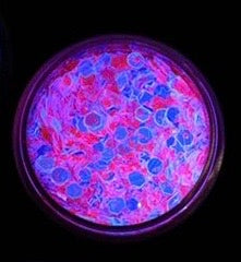 Inked Doll Cosmetics - "EDC FANTASEA" *UV/BlackLight* Festival FunFetti