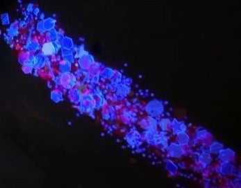 Inked Doll Cosmetics - "EDC FANTASEA" *UV/BlackLight* Festival FunFetti