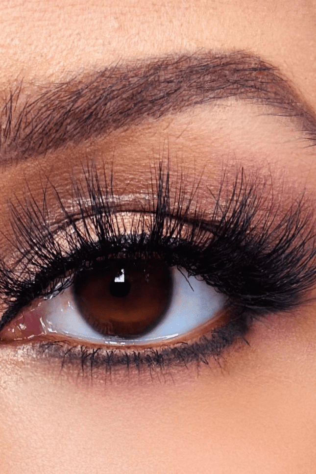 Sydoni - FELISHA LUXURY MINK LASHES