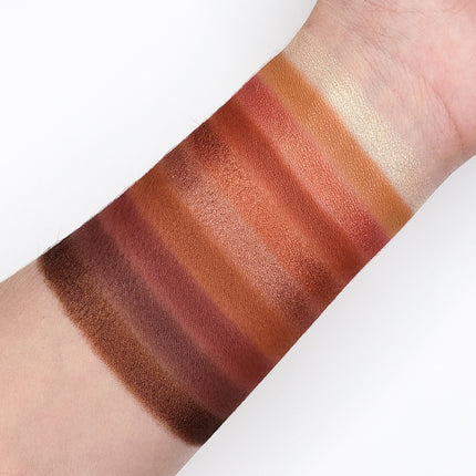 Crown Brush - Crown Pro 10 Color Fuego Collection