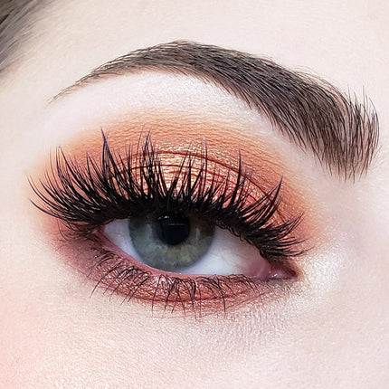 Crown Brush - Crown Pro 10 Color Fuego Collection