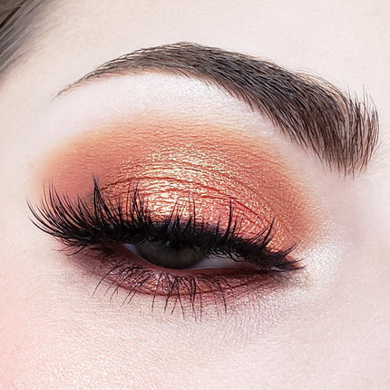 Crown Brush - Crown Pro 10 Color Fuego Collection