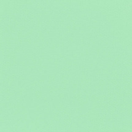 Gavissi Beauty - "GREEN TEA" MATTE EYESHADOW