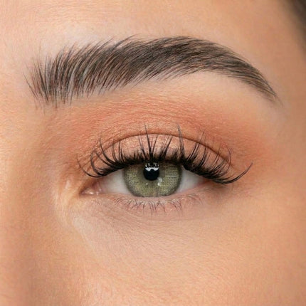 C & D Beauty - Hazel Press & Go Refill