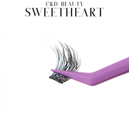 C & D Beauty - Sweetheart Press & Go Lash Kit