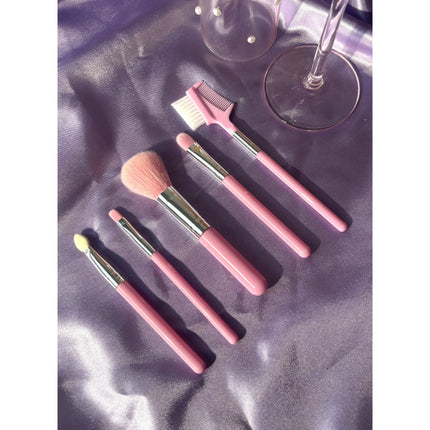 Prolux Cosmetics - Makeup Brush: 5PCS Set Brush