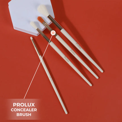 Prolux Cosmetics - Prolux Makeup Concealer Brush