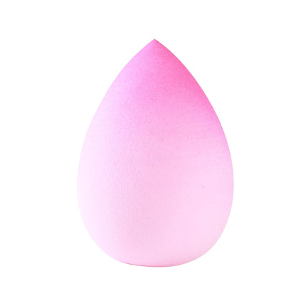 Prolux Cosmetics - Fade Into You Sponge
