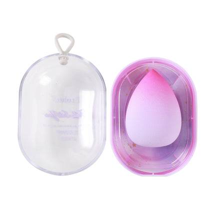 Prolux Cosmetics - Fade Into You Sponge