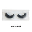 #2- Aquarius