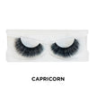#4- Capricorn