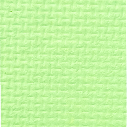 Gavissi Beauty - "KEY LIME" SINGLE LINER PAN (UV)