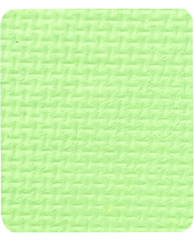 Gavissi Beauty - "KEY LIME" SINGLE LINER PAN (UV)