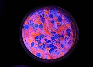 Inked Doll Cosmetics - "NOCTURNAL HORIZON" *UV/BlackLight* Festival FunFetti