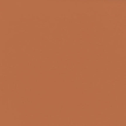 Gavissi Beauty - "PAPARAZZI" MATTE EYESHADOW