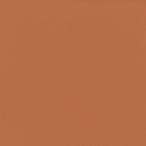 Gavissi Beauty - "PAPARAZZI" MATTE EYESHADOW