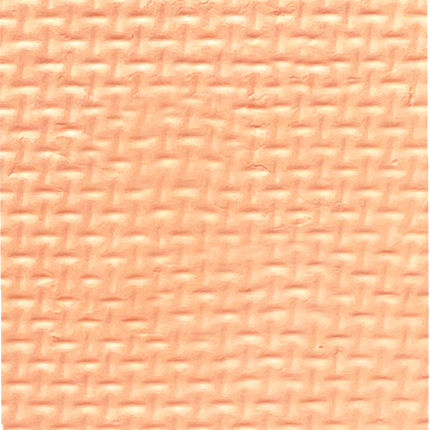 Gavissi Beauty - "PEACHES & CREAM" SINGLE LINER PAN (UV)