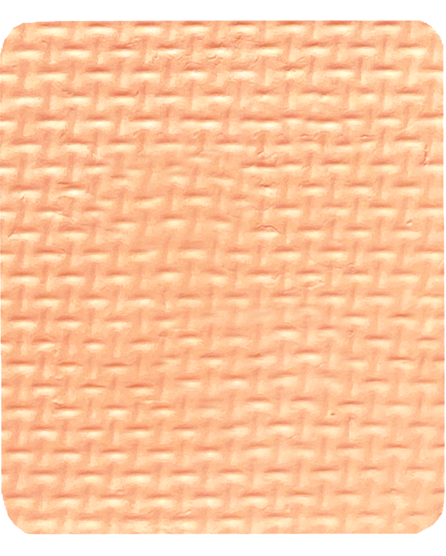 Gavissi Beauty - "PEACHES & CREAM" SINGLE LINER PAN (UV)