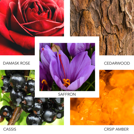 ROSE INK 100 ML