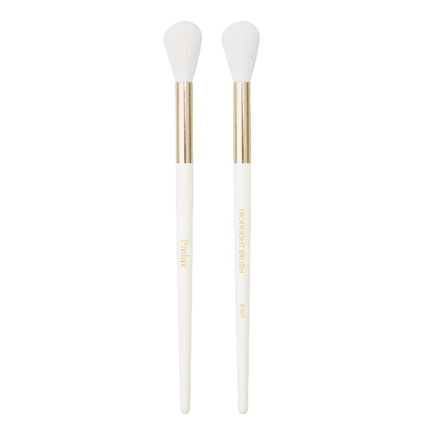 Prolux Cosmetics - Highlight Brush