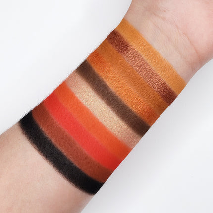 Crown Brush - 10 Color Temptation Eyeshadow Collection SN10