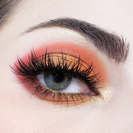 Crown Brush - 10 Color Temptation Eyeshadow Collection SN10