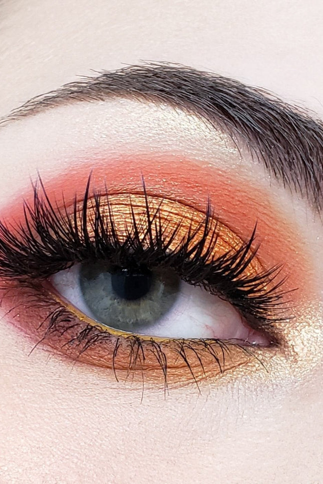 Crown Brush - 10 Color Temptation Eyeshadow Collection SN10