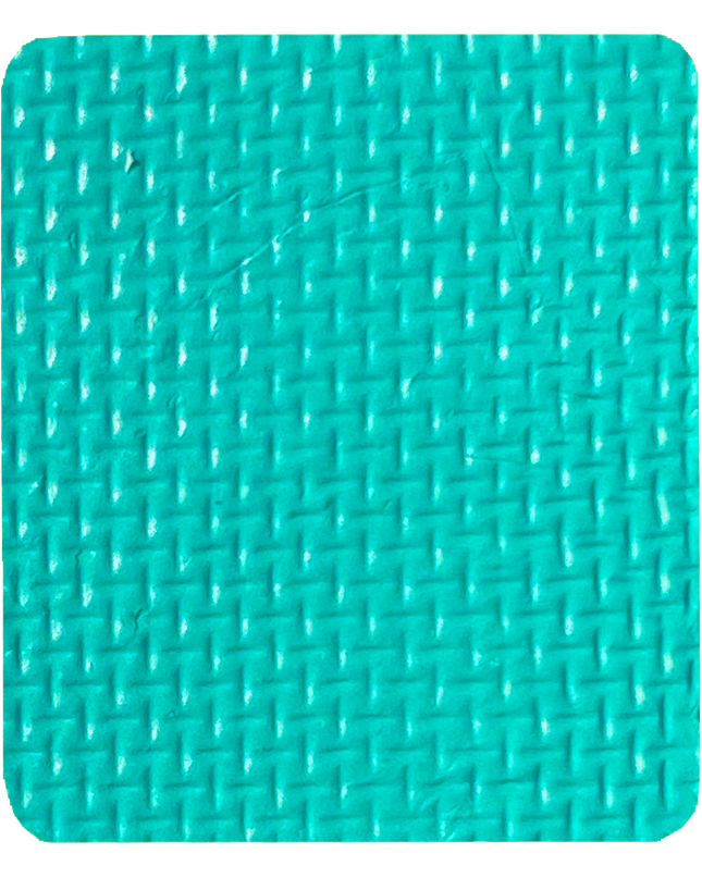 Gavissi Beauty - "TROPICS" SINGLE LINER PAN (MATTE)