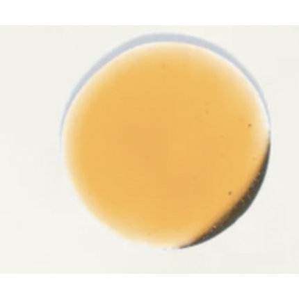 NILCEUTICA - NILCEUTICA Bestsellers Discovery and Travel kit