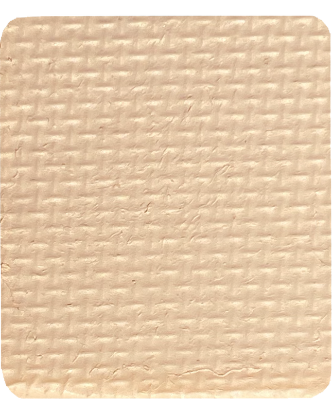 Gavissi Beauty - "VANILLA" SINGLE LINER PAN (MATTE)
